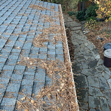 Pullman-WA-Gutter-Clean-Out 3